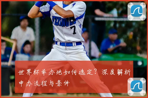 世界杯举办地如何选定?深度解析申办流程与条件