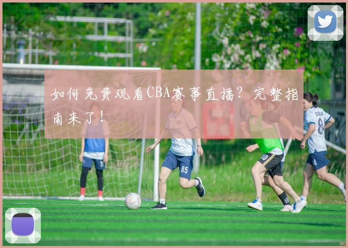 如何免费观看CBA赛事直播？完整指南来了！