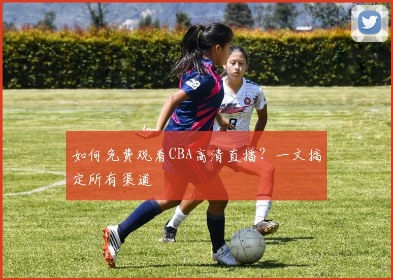 如何免费观看CBA高清直播？一文搞定所有渠道