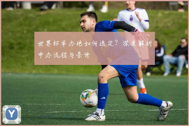 世界杯举办地如何选定？深度解析申办流程与条件