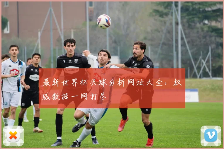最新世界杯买球分析网址大全，权威数据一网打尽