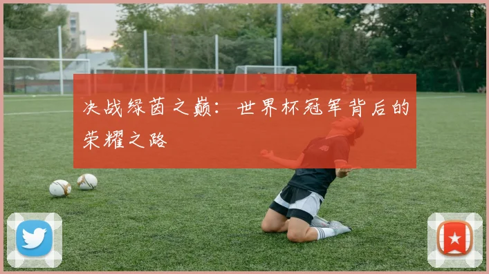 决战绿茵之巅：世界杯冠军背后的荣耀之路