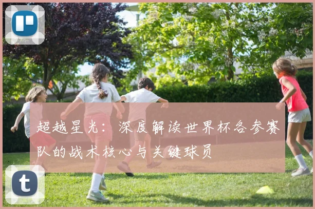 超越星光：深度解读世界杯各参赛队的战术核心与关键球员
