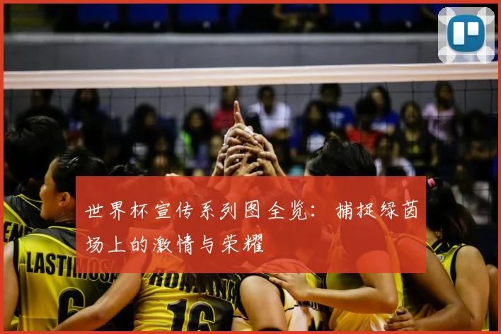世界杯宣传系列图全览：捕捉绿茵场上的激情与荣耀