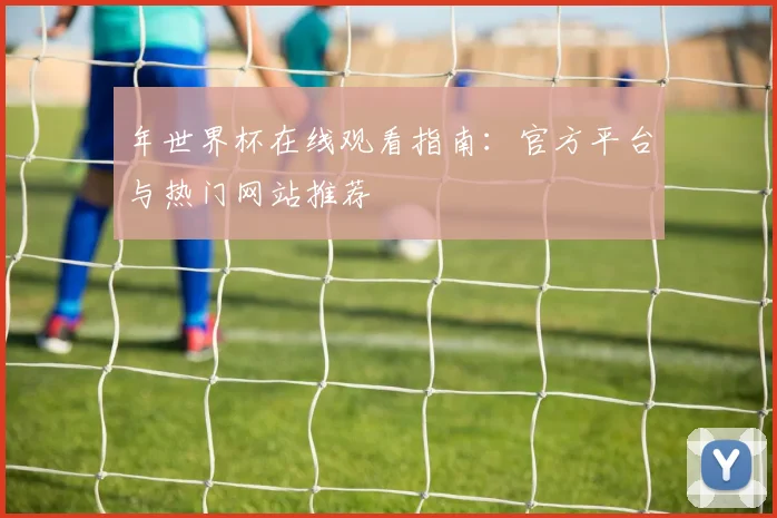 年世界杯在线观看指南：官方平台与热门网站推荐