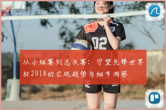 从小组赛到总决赛：守望先锋世界杯2018的宏观趋势与细节洞察