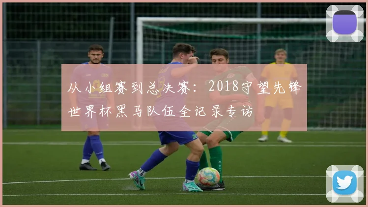 从小组赛到总决赛：2018守望先锋世界杯黑马队伍全记录专访