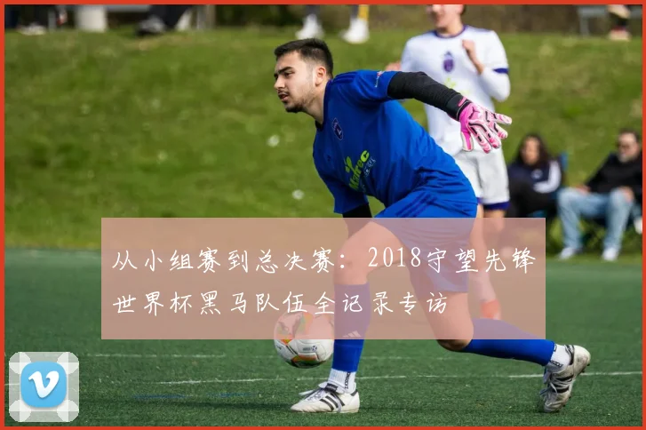 从小组赛到总决赛：2018守望先锋世界杯黑马队伍全记录专访