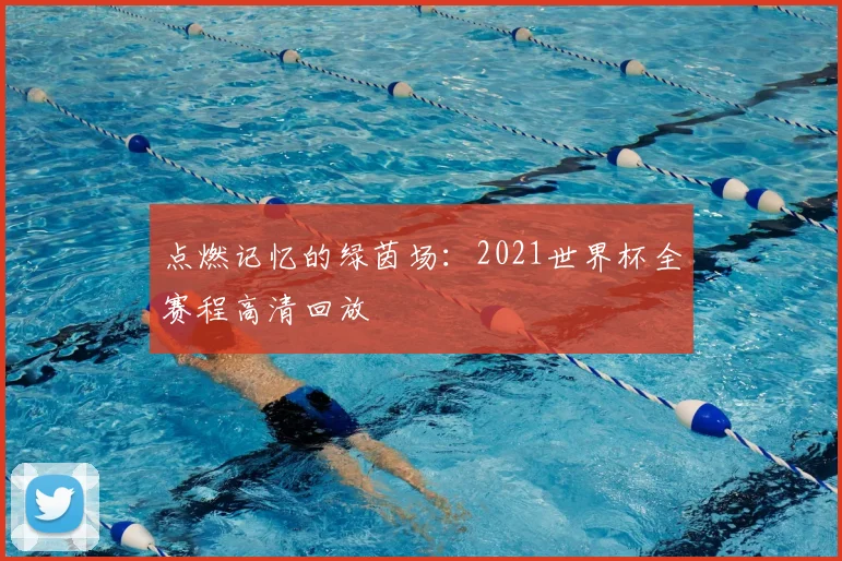点燃记忆的绿茵场：2021世界杯全赛程高清回放