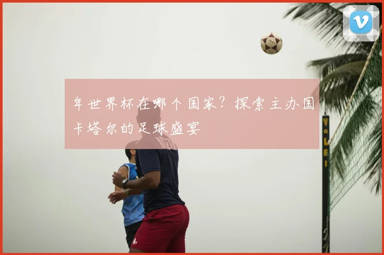 年世界杯在哪个国家？探索主办国卡塔尔的足球盛宴